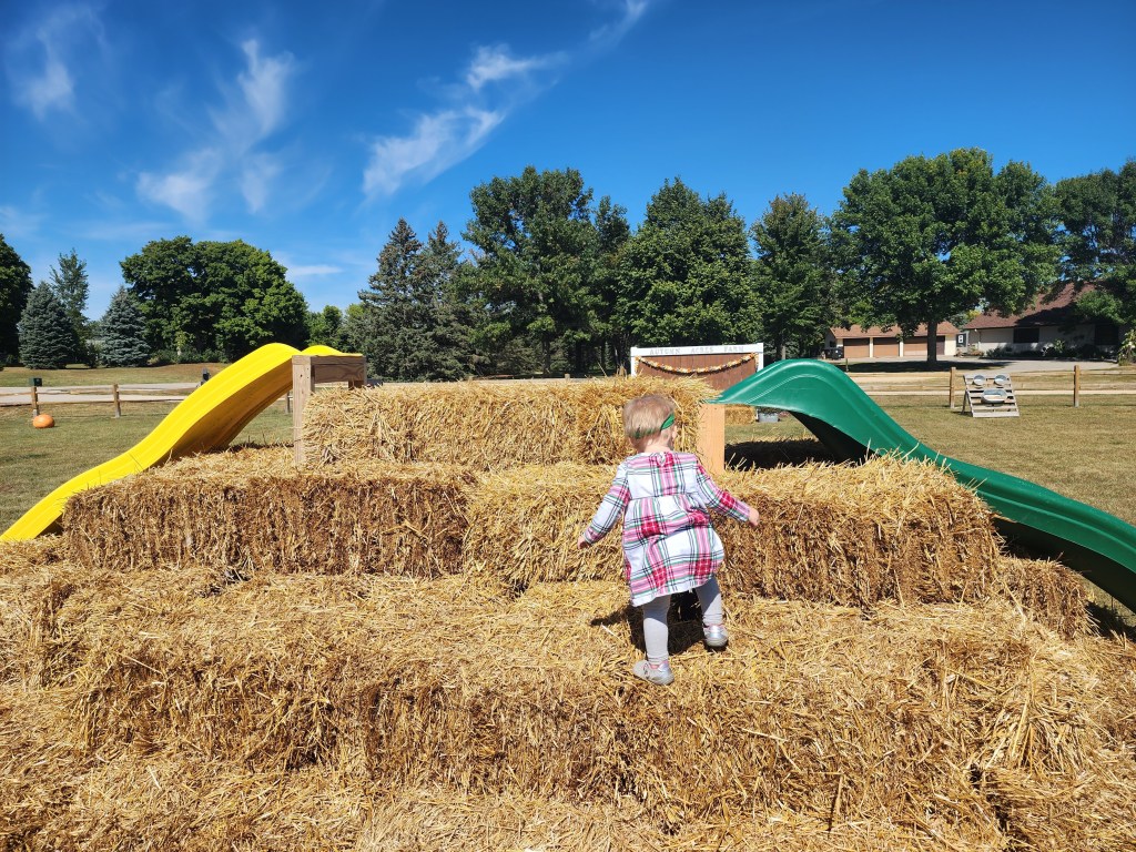 Autumn Acres Farm Pumpkins- Janesville,&nbsp;MN
