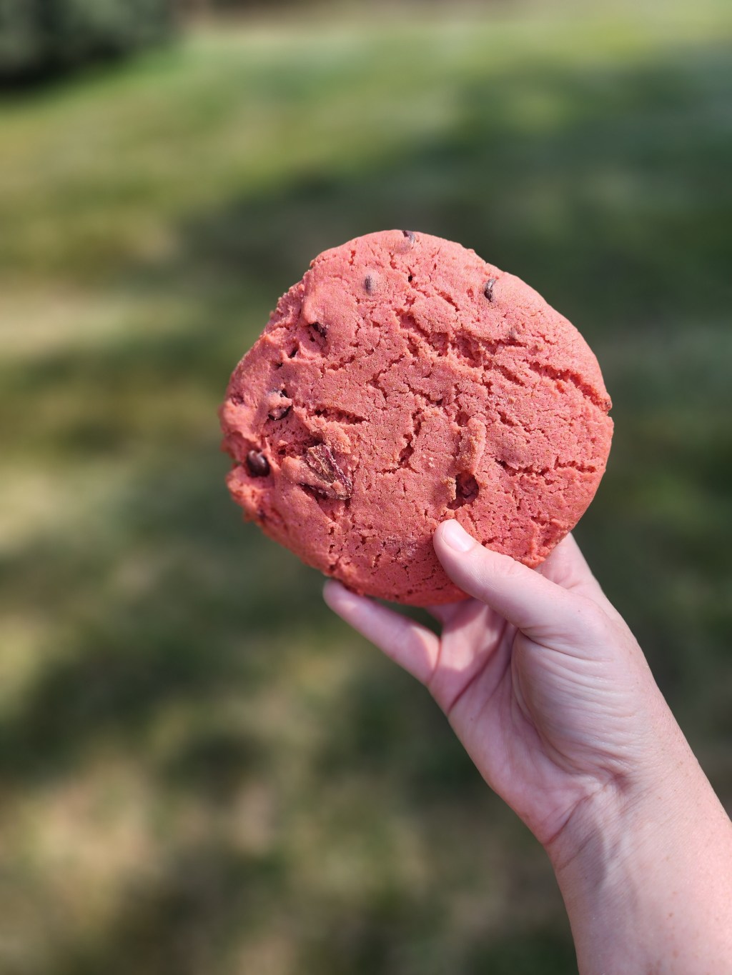 T-Rex Cookie Kitchen