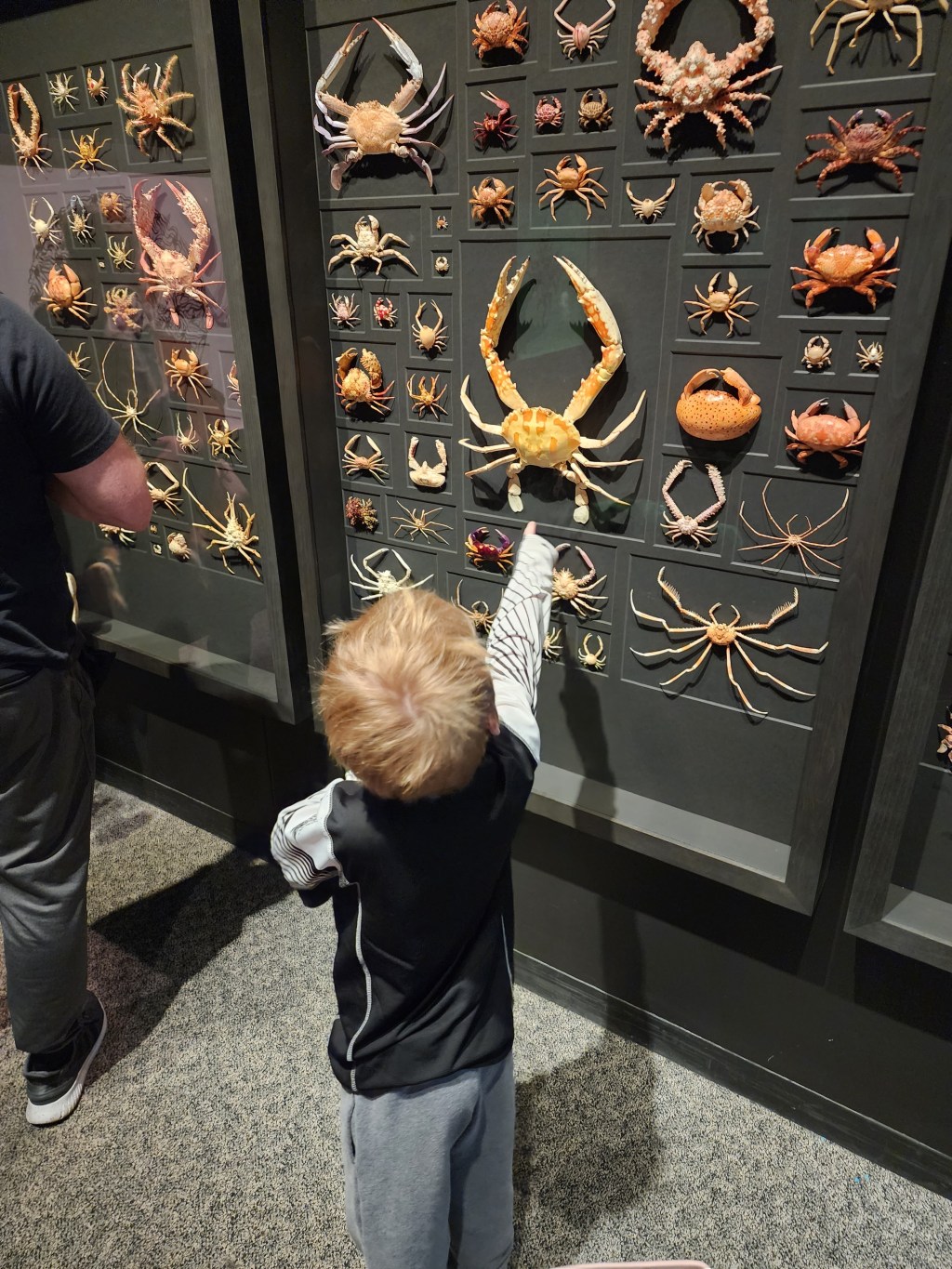 Looking for a great experience gift for your&nbsp;family?