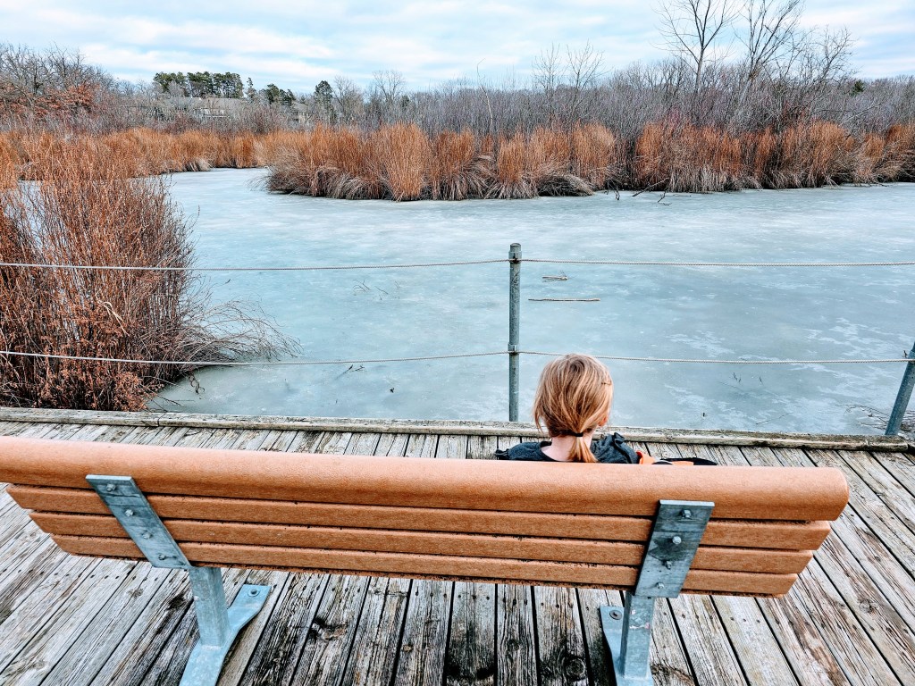 Two FREE great spots to check out in Roseville, MN!