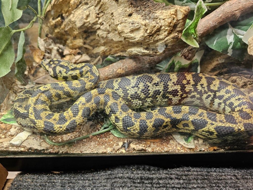 A Must-Visit for Any Animal Lover- RAD&nbsp;Zoo