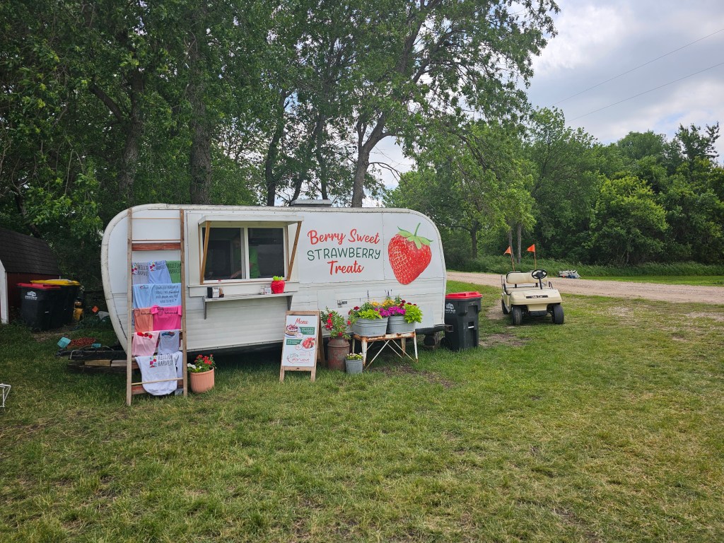 Hilltop Harvest: A summer activity that will become tradition