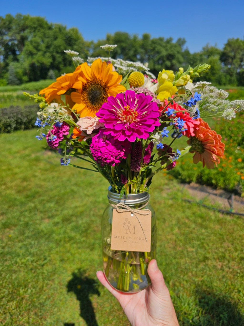 The Perfect Summertime Bucket List Activity for the whole family!