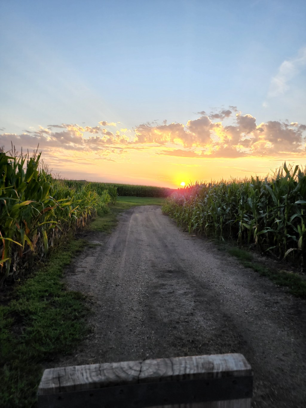 Five Must-do Fall Activities in the Mankato Area!